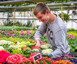 Fleurs Stempfler image 15