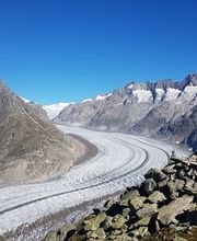 Hotel-Restaurant Panorama Bettmeralp AG Bild 11