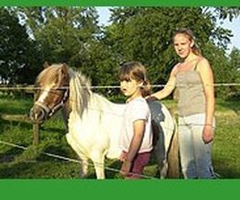 Ferienhof Bruns Bild 5