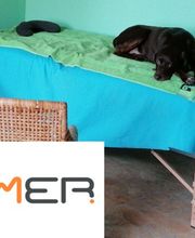 Dog Ways Hundecenter Bild 5