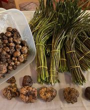 Gallery Professionale