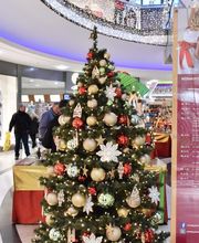 Stadt-Galerie Plauen Bild 3