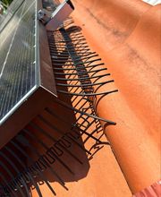 Gimi Haus & Bau Bild 7