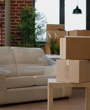 All Moves Are Us image 3