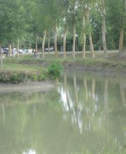 Camping des Conches image 1