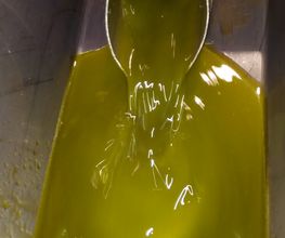 cooperativa-del-campo-la-carrera-aceite-oliva-04.jpg