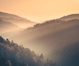 Dirk Doebele Fotografie Bild 1