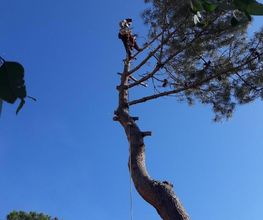 Sud Intervention image 3