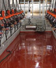 Agrofarm Sàrl Bild 7