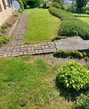 CL Multi Services image 8