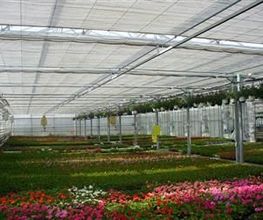 Renou Horticulture image 1