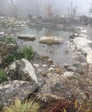 Gander Gartenbau Bild 10