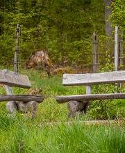 FriedWald Weilrod Bild 7