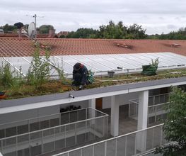 Trinkgeld GmbH Garten- & Landschaftsservice Bild 20