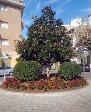 Jardinería Bordera imagen 7