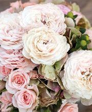 Floristería Lislore imagen 4