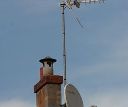 Seppia image 3