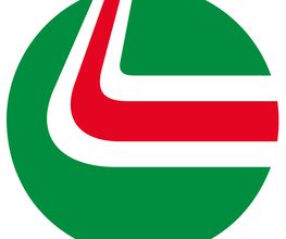 Bosch Car Service - Teknauto immagine 3