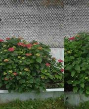 Most- u. Getränkehande Adolf Nussbaumer-Abbt Bild 1