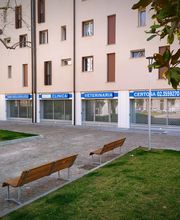 Gallery Professionale