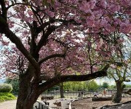 Tierpark Nadermann Bild 6