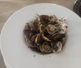 302921127-2-uDZ65NVuLQ1784272275401.jpeg
