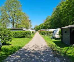 Camping & Ferienpark Waldfrieden Bild 8