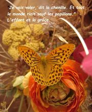 Brossier Corinne Magnétiseur Naturopathe image 7