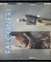 Falconeri immagine 1