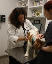 South Putnam Animal Hospital image 5