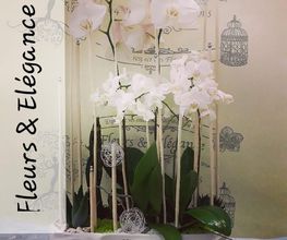 Fleurs et Elégance image 15