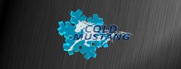 Cold Mustang