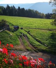 Ferienparadies Althäuslehof Bild 5