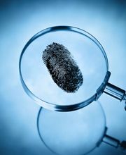 Dupuy Philippe image 3