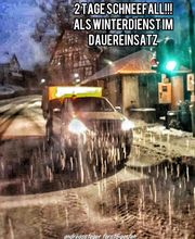 Andreas Steger, Forst- und Gartenservice Bild 12