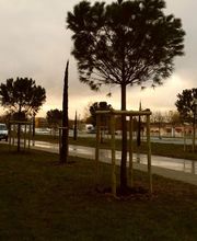 ULV creation de jardins Services image 6