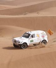 New Look 4X4 image 13