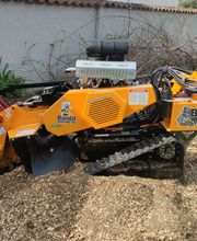 Des Racines à la Cime image 2