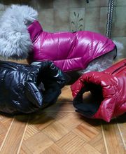 Coiff toutou image 9