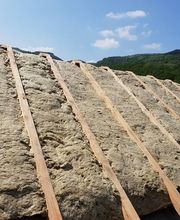 Gonçalves Alfredo image 4