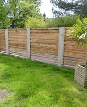 Stark im Garten