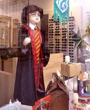 Optique Aveline image 5