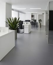 Fischlin Reinigungen Schweiz GmbH Bild 1