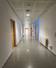 300095312-1-nRdCpk5Tbi1742395261216.jpeg