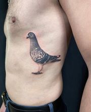 Raketenwacholder Tattoo und Piercing Bild 7