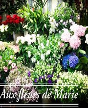 Aux Fleurs De Marie-Terre De Provence image 11