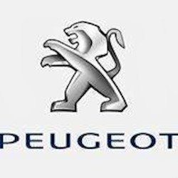 Peugeot Garage Fuchey Concessionnaire