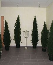 Bestattungsinstitut Alfons Müller BI GmbH Bild 10