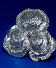 Joyería Sánchez-Cordero imagen 13