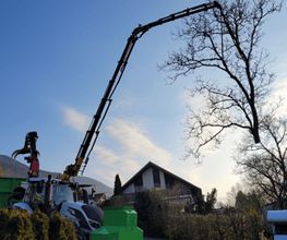 Mammutholzerei GmbH Bild 2